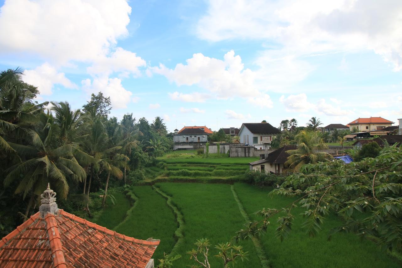 Wisma tamu Sunshine 3*